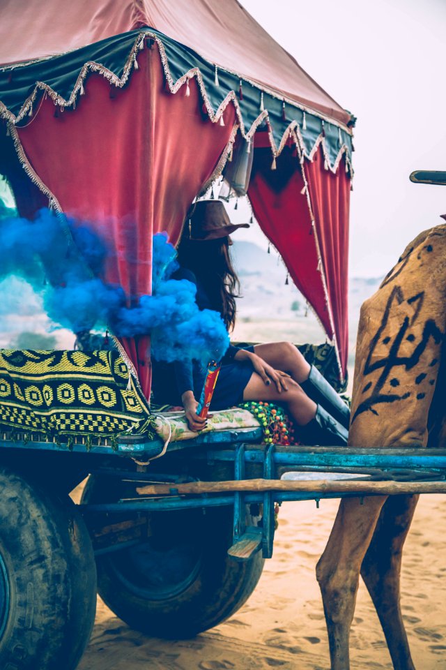 Pushkar, India, Camel