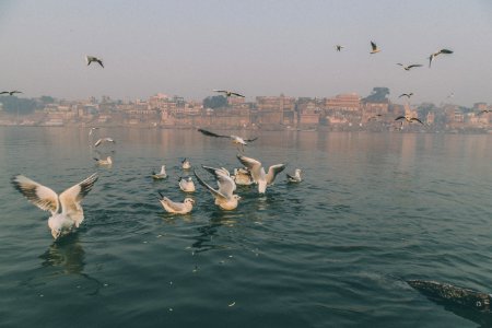 Varanasi, India, River