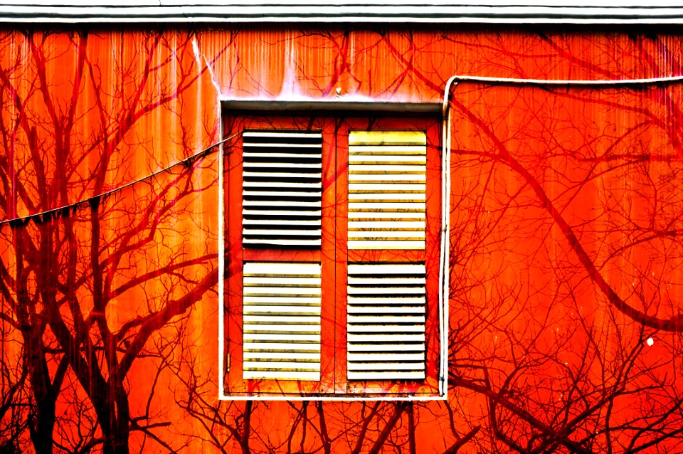 Window