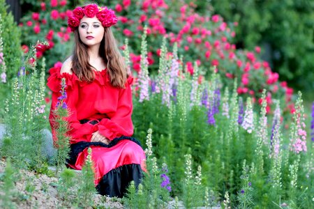 Roses red beauty