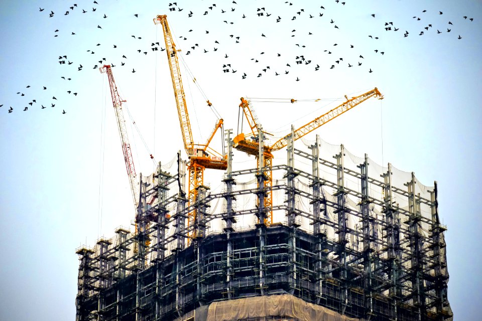 low angle photography of cranes on top of building