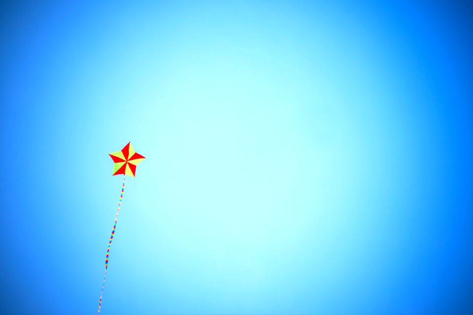 Kite, Kite with tail, Sky