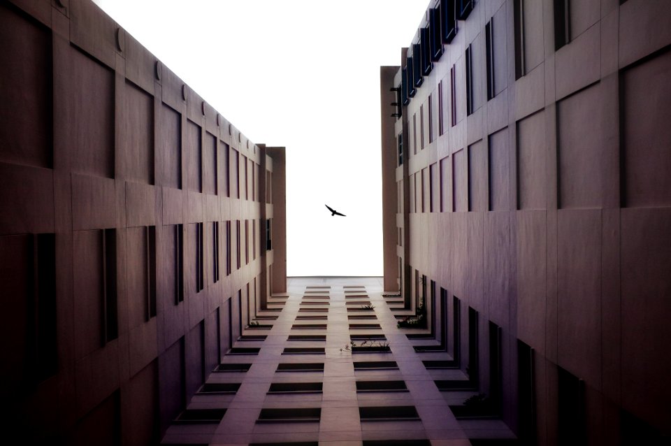 Topview, Bird, Building