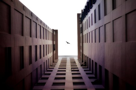 Topview, Bird, Building