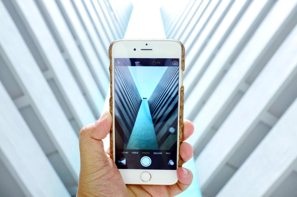 person holding gold iPhone 6