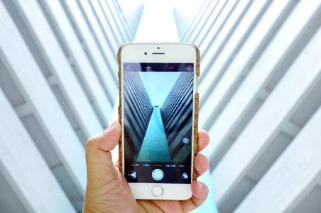 person holding gold iPhone 6