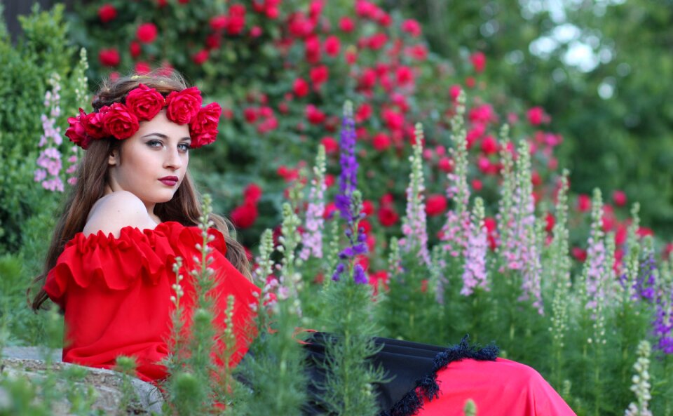 Roses red beauty