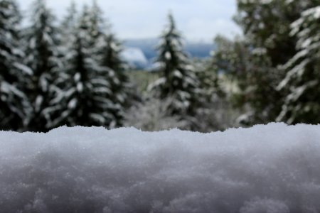 Winter, Forest, Porch