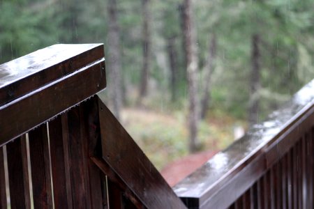 Porch, Trees, Pacific northwest