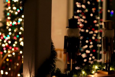 Holiday, Christmas tree, Christmas lights