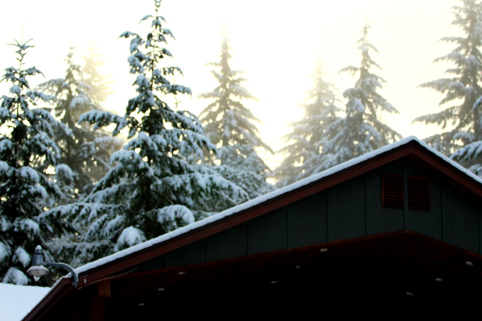 House, Home, Mountain