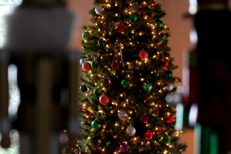 Holiday, Nutcracker, Christmas tree