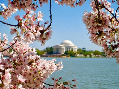Washington, District of columbia, Nw 15th st  nw madison dr