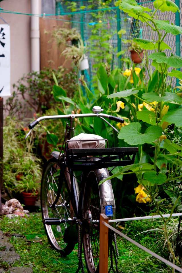 Japan, Chuo, Tokyo