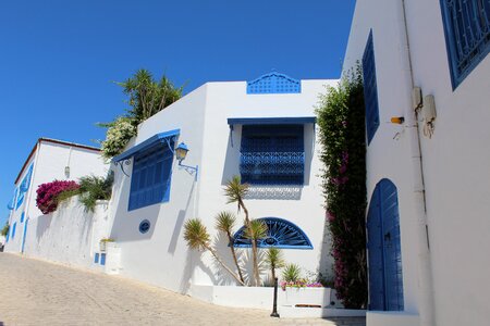 Handsomely blue - white street