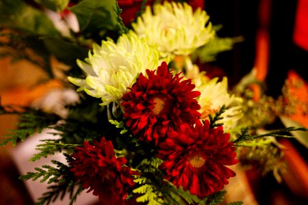 Arlington, United states, Bouquet