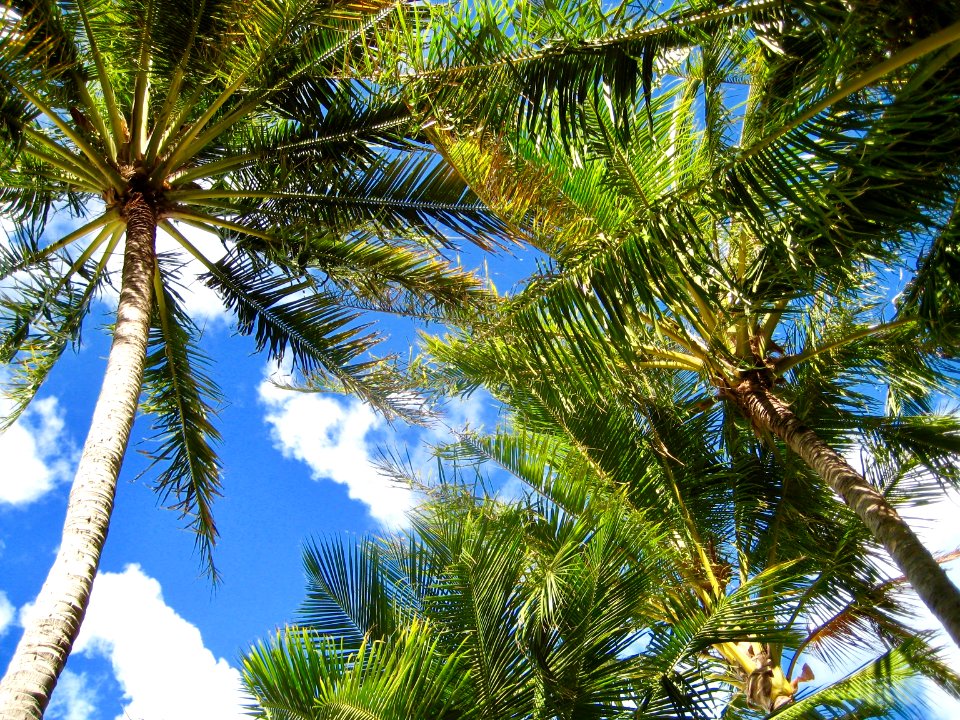 Whitsundays, Queensl, Australia
