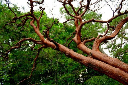 Kyoto, Japan, Kyoto prefecture