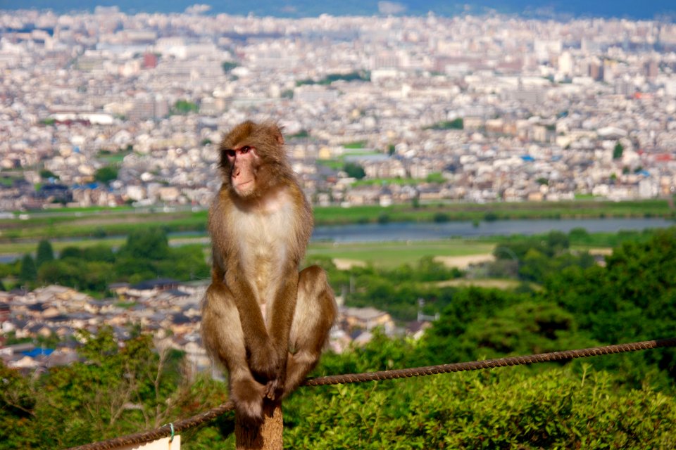 Kyoto, Japan, Kyoto prefecture