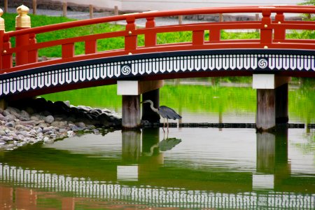 Japan, Uji, Kyoto prefecture photo