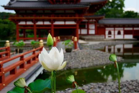 Uji, Japan, Kyoto prefecture photo