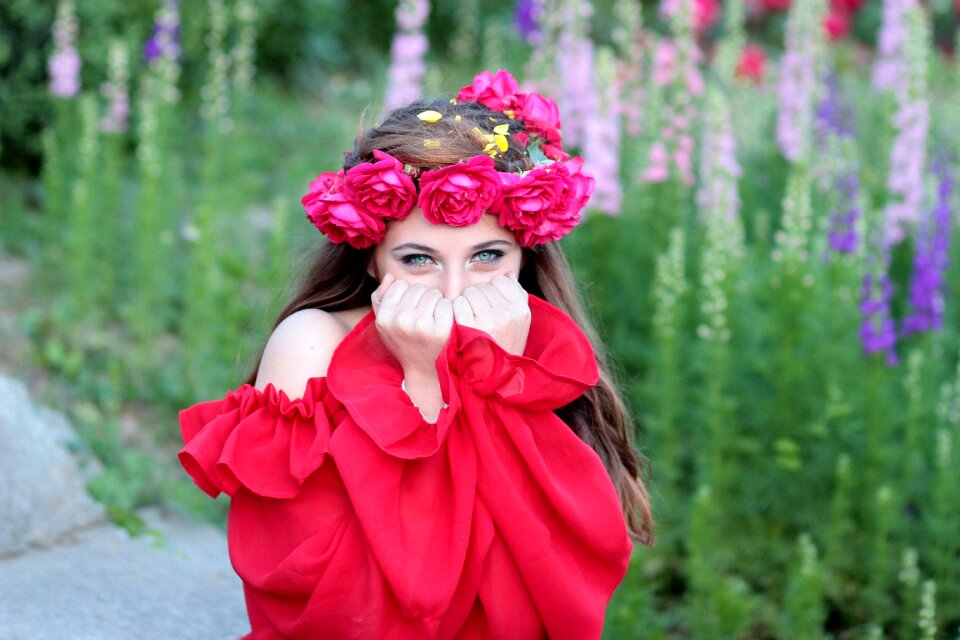 Roses red beauty