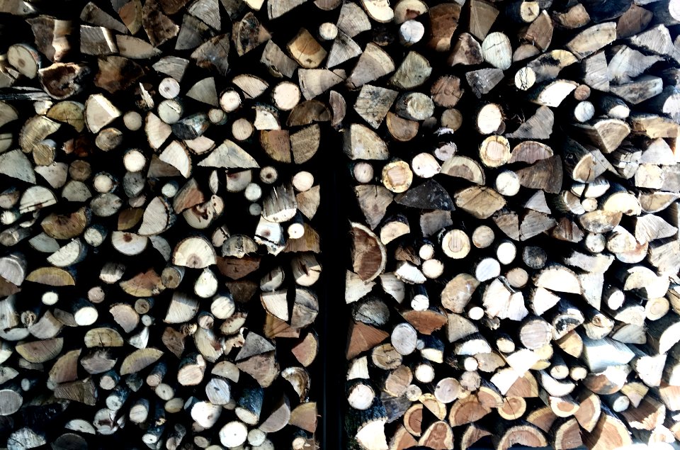 Brown, Tree, Wooden log