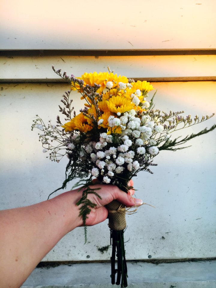 Summer, Wild, Wild flower