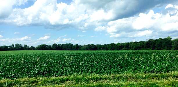 Nature, Countryside, Blue