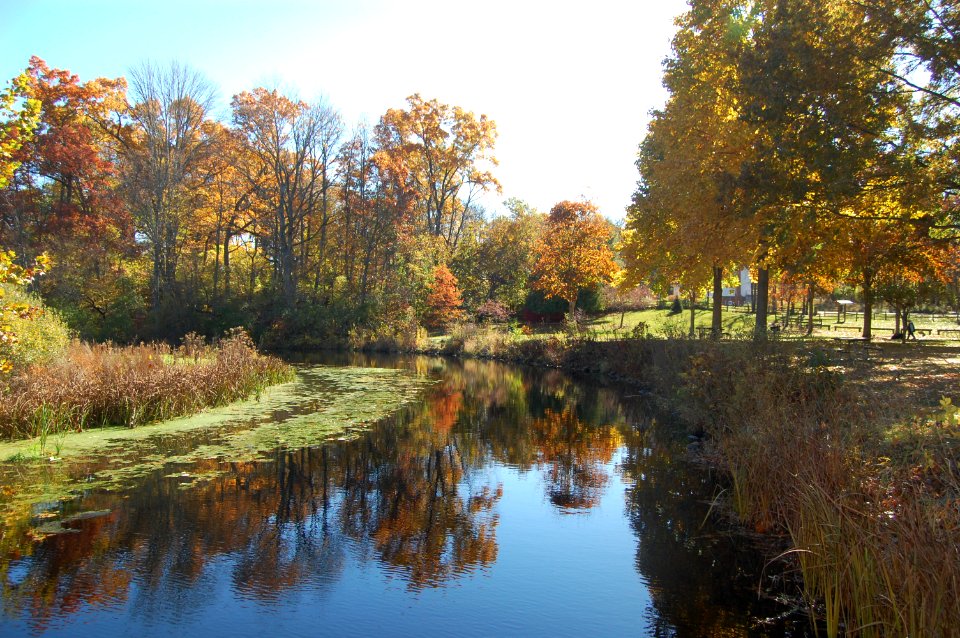 Wood, Fall, River