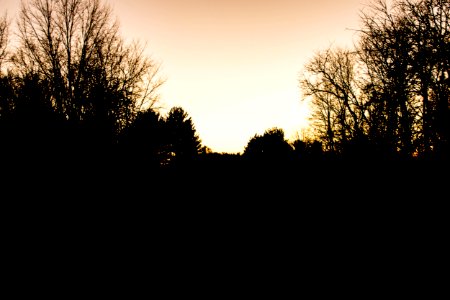Autumn, Fall, Trees