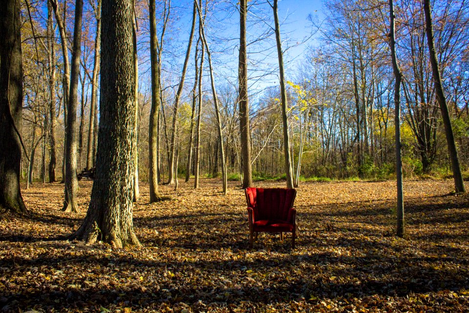 Sky, Chair, Fall