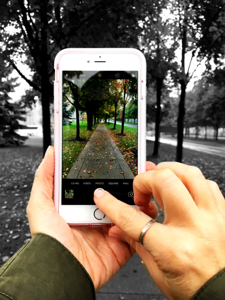 Trees, Iphone, Black