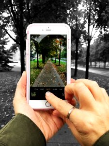 Trees, Iphone, Black photo