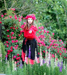 Roses red beauty