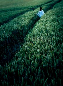 woman standing in wheat field photo