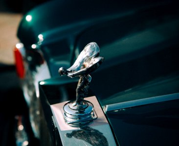 silver-colored vehicle ornament photo