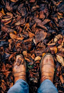 person stepping on dried leaves photo