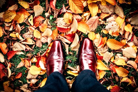 person wearing brown shoes standing on brown leaves photo