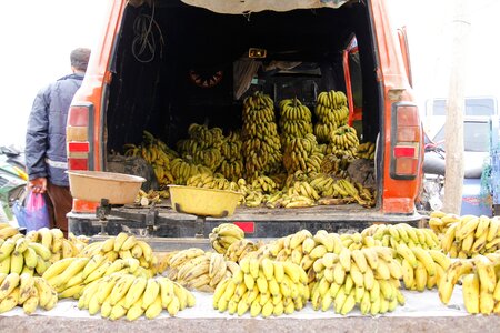 Buy fruit healthy