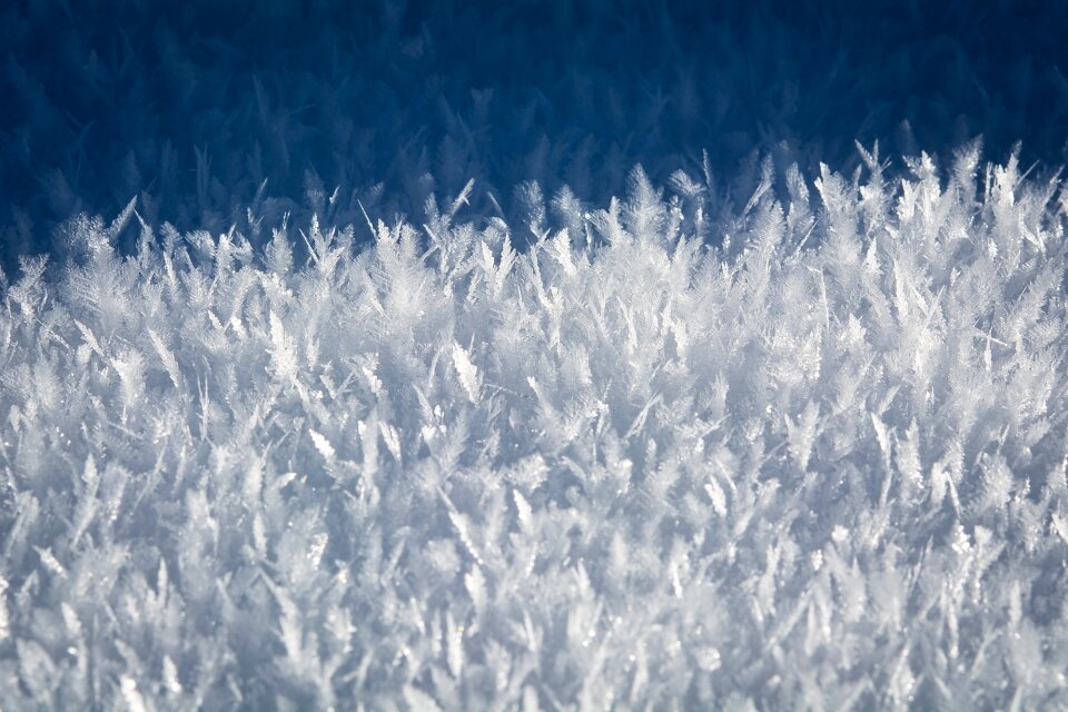 Winter crystals iced