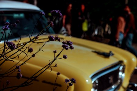 yellow vehicle photo