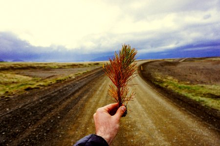 Storm, Leaf, Road