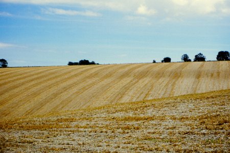 Arundel, United kingdom, Grain photo