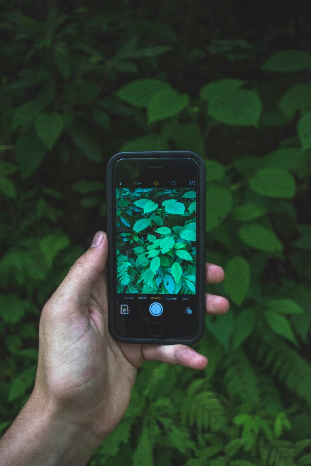 Screen smartphone taking photo