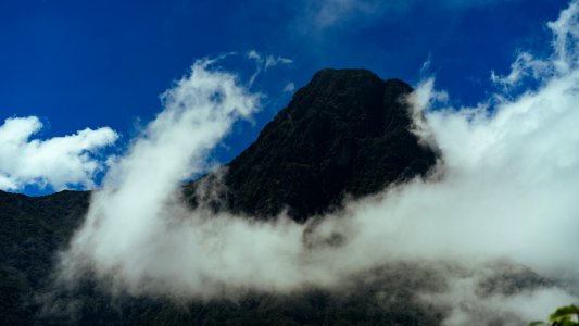 Valle del cocora, Colombia, Blue
