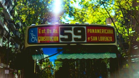 black and red bus showing signage near white high-rise building and green leafed trees during daytime photo