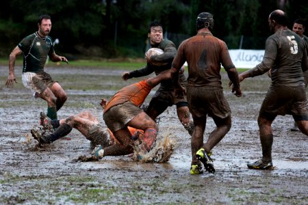 men's playing rugby photo
