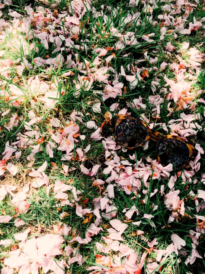 Groton, United states, Nature