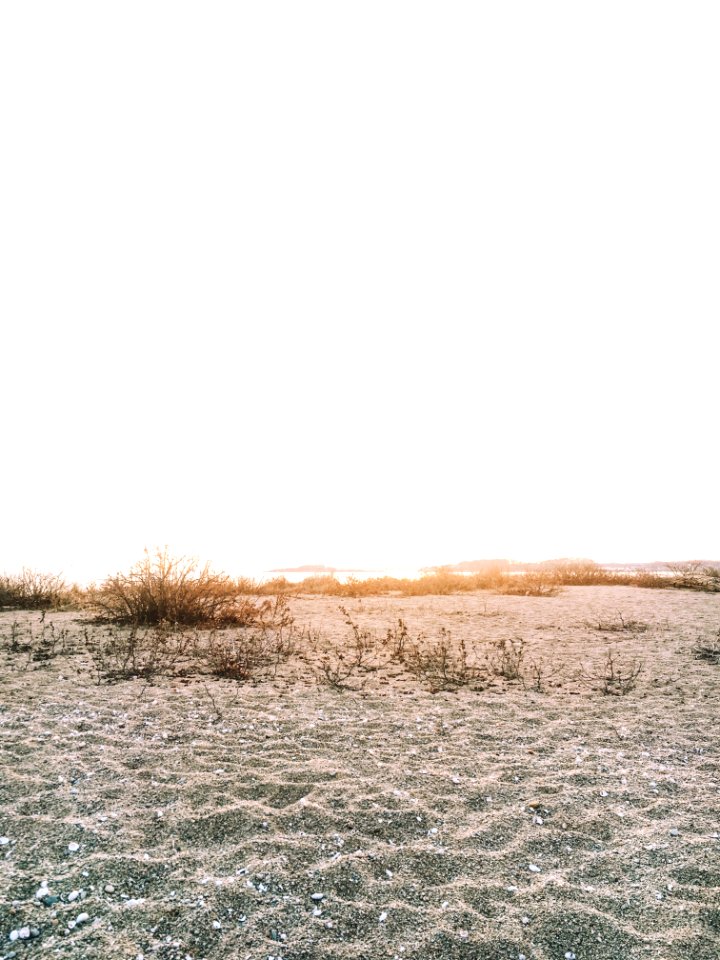 Unnamed road, Groton, Ct 06340